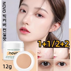 (1+1/2+2) NOVO 빅커버 컨실팟 12g 아이보리/내추럴/베이지 24H지속력/워터프루프/촉촉한 보습