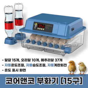 코어앤코 부화기 병아리 키우기 계란 달걀 인큐베이터, 1개, 파란색 15구