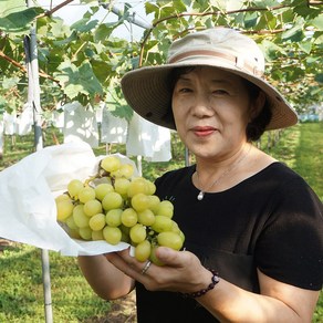 숲밑에농원 영동 고당도 샤인머스켓 망고 포도 2kg, 샤인머스켓 3-4송이 2kg, 1개