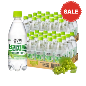 풀무원 브리지톡 샤인 머스캣 탄산수, 40개, 500ml