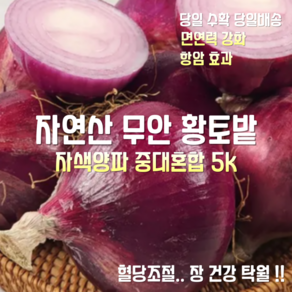 [산지직송] 국내산 자연산 무안 황토밭 24년 햇 자색양파 중대 혼합 5k 1박스, 무안 황토밭 자색양파 중대 혼합 5k