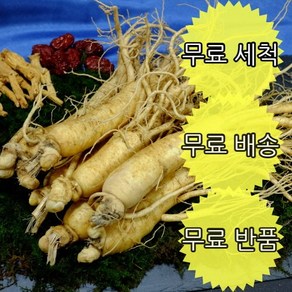 금산 이레인삼 원삼 중 12~14뿌리(750g), 무료세척 원수삼 중 12~14뿌리750g, 1개