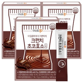 로엘 웰업 크런치 초코 발효 효소 스틱 30p