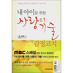 내 아이를 위한 사랑의 기술 : MBC스페셜 '내 아이를 위한 사랑의 기술' 원작도서