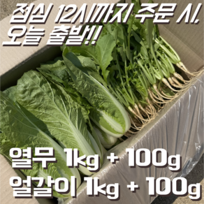 [달콤밥상 어린열무] 물 좋은 철원 산지직송 어린열무, 1개, 어린열무 1kg + 얼갈이배추 1kg