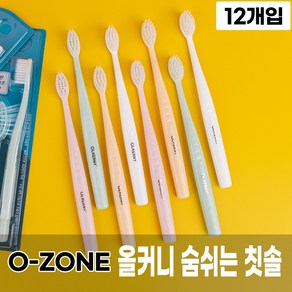 [오죤] 올커니 숨쉬는 칫솔 12개입 1Box 로얄 이중 미세모 빠른 통풍건조