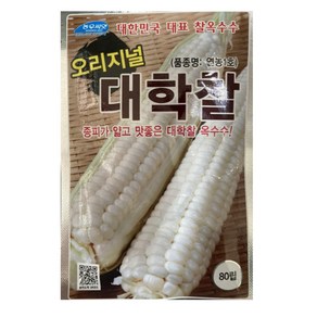 대학찰 옥수수 씨앗 종자