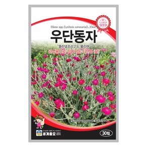 우단동자 씨앗 30립 꽃씨앗 세계종묘 모칸도, 1개