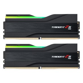 G.SKILL G.SKILL DDR5-7200 CL34 TRIDENT Z5 RGB J 패키지 (32GB(16Gx2)), 1개