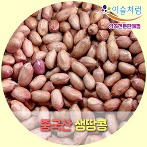 이슬처럼 중국산 생땅콩 땅콩 1kg (2023년산), 1개