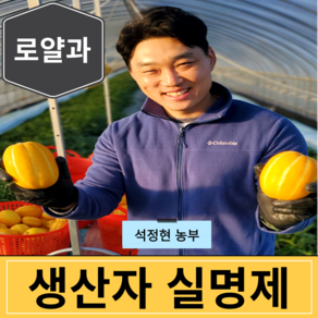 [생산자직송] 고당도 최상급 성주 참외 3kg 5kg 10kg, 1세트, [가정용] 로얄과 2kg