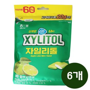 해태 자일리톨 애플민트향 껌 리필 110g, 6개