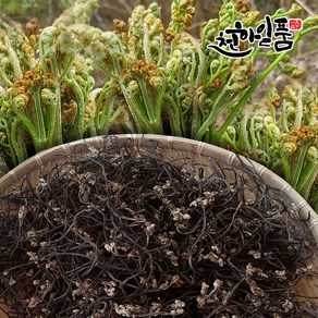 천하일품 제주 첫물 건고사리 100g