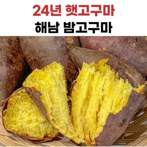 해남 황금 밤고구마, 1개, 10kg(중상)