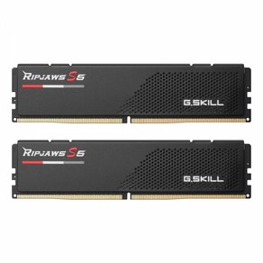 G.SKILL G.SKILL DDR5-5200 CL40 RIPJAWS S5 J 블랙 패키지 (96GB(48Gx2)), 2개