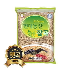 현대농산 국산 늘보리 2kg