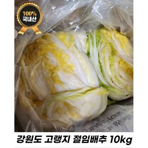 [배송일 설정 가능 / 빠른배송] 싱싱한 국내산 김장용 절임배추 10kg / 20kg