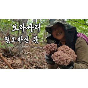 24년 자연인부부가 직접 체취한 싱싱한 다양한 잡싸리를 삶아서 흐르는물에 3일간 담궈놨다가 염장했습니다. ( 24년 채취한 건조까치버섯. 24년채취한 염장보라싸리버섯도 판매)