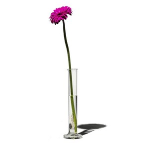 푸에브코 PUEBCO SINGLE FLOWER VASE 100ml 한송이 유리 화병