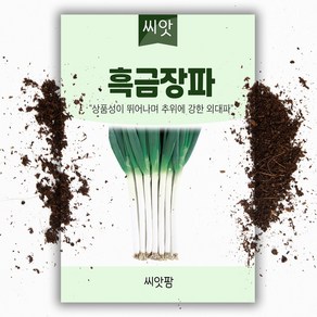 씨앗팜 흑금장파 씨앗(10g) 대파씨앗 종자