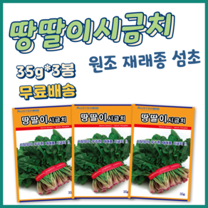 주주씨앗 땅딸이시금치 씨앗 35g 3봉 겨울 월동 재래종 섬초 종자 씨, 3개