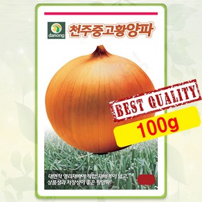 양파 씨앗 100g 천주중고황 흰양파 종자 씨 봄 여름 가을 양파씨 DN