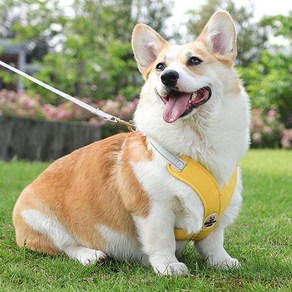 퍼플펫 강아지 X형 하네스 가슴줄 소형견 앞섬방지, 옐로우, 1개