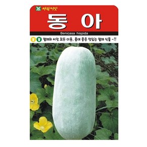 동아 씨앗 10립 박 종자 씨 봄 여름 가을 동아씨 AR, 1개