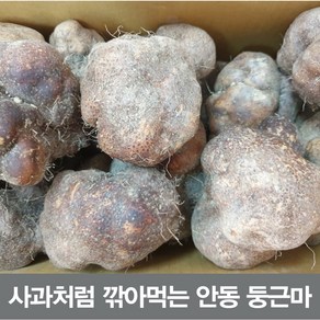 24년산 안동 둥근마 상품 5kg (정직을 배달합니다), 둥근마 중품2kg, 1박스