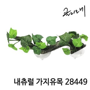 아쿠아마켓 클리오네 내츄럴 가지유목 28449