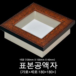 높은 표본공액자 180*180mm, 표본공액자180*180mm, 1개