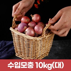 수입모충 샬롯 작은양파10kg (큰사이즈)