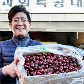 과일특공대 프리미엄 고당도 생 체리 1kg 2kg 왕체리