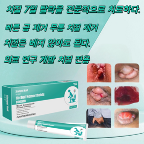 [당일배송] 내치질/외치질/혼합형 치질/치질크림/배변곤란/항문열상/대변혈/항문부종 및 통증/항문주위 가려움증/다양한 치질에 적합/식물추출물 부드러운 케어/QQ06, 20g, 1개