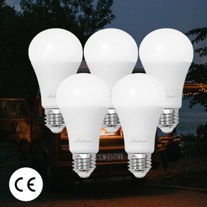 LED 벌브전구 DC 12-30V 선박용전구 캠핑전구 작업등 E26 주광색, 5개