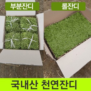 천연잔디 (전남 장성군)부분잔디/20장/롤잔디2장/박스포장/무료배송, 2개