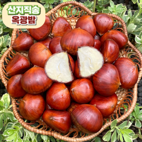 [고품질] 공주 옥광밤 산지직송, 1개, 4kg