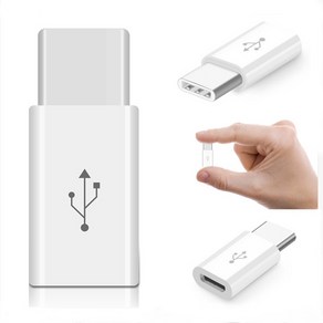 USB 3.1 C타입 젠더, 1개