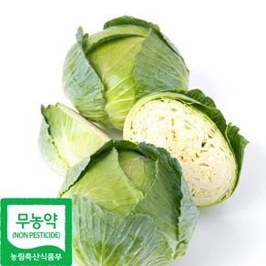 국내산 친환경 양배추, 1박스, 2kg