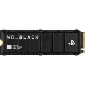 WD_BLACK 2TB SN850P NVMe M.2 SSD 공식 라이선스 PS5 콘솔용 스토리지 확장 최대 7 300MB/s 히트싱크 포함 - WDBYV0020BNC-WRSN, 1TB, NEW - Up to 7/300MB/s, 1개