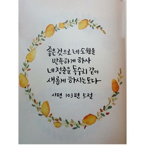 란이네 성경글귀 보석십자수 성경구절 힘이되는글 diy키트 DLT-PIN120, 시편 103편 5절, 30*40cm, 1개