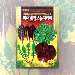 모듬치커리 씨앗 종자 1500립 미래, 1개