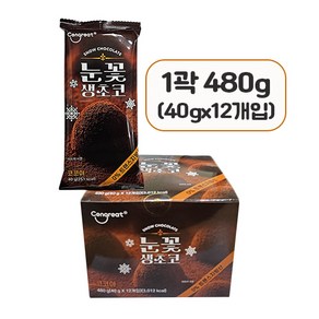 0% 트랜스지방 눈꽃 생초코 코코아 480g(40gx12개입) 1곽, 40g, 12개