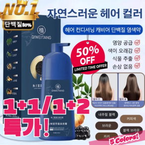 1+1 골드 캐비어 단백질 염색약 골드캐비어염색약 쉽고 빠른 500ml 5컬러