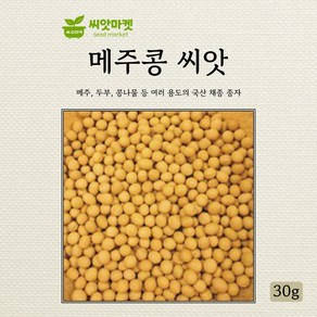 아람종묘 메주콩 백태콩 씨앗 30g, 1개