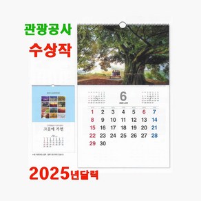 2025년 벽걸이 달력 26종 대형 월드와이드 풍경 명화 들꽃 캘리 3단 스프링