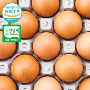 [유통연구소] HACCP 인증 맥반석 구운계란 대란