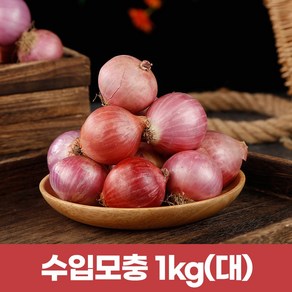 2025햇샬롯 모충 살롯1kg (큰사이즈), 1개