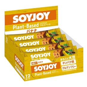 SOYJOY 소이조이 단백질바 과일 구운 치즈 맛 30g 24개