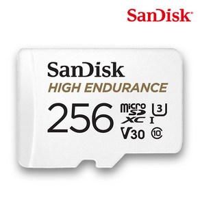 샌디스크 마이크로SD카드 High Enduance 하이엔듀런스 SDSQQNR-256GB + SD카드 케이스, 256GB, 1개